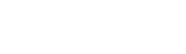 Wirral Council - main website logo